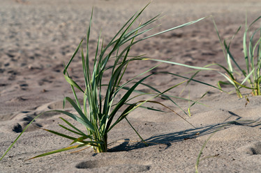 Similar image 21467097