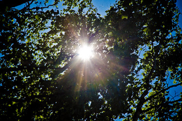 Similar image 21477688