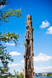 Similar image 21477690