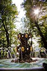 Similar image 21477867