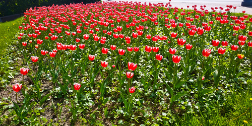 Similar image 21477869