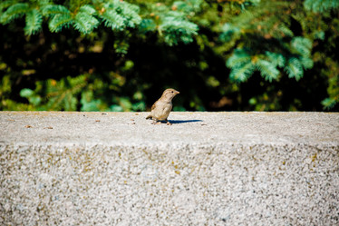 Similar image 21477691