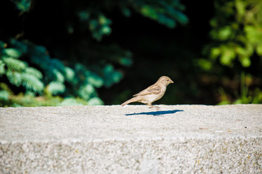 Similar image 21477692