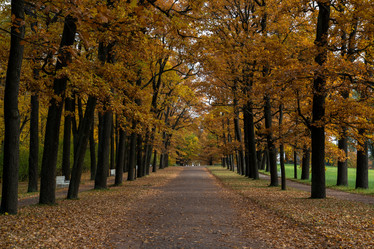 Similar image 21467368