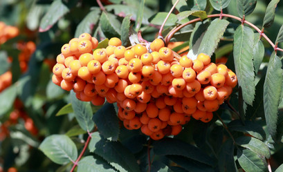 Similar image 21448504