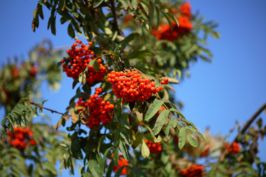 Similar image 21456549