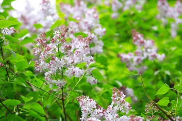 Similar image 21456557