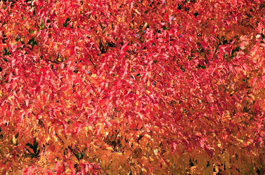 Similar image 21456563