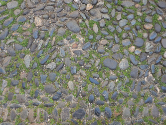 Similar image 21468068