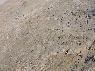 Similar image 21468076