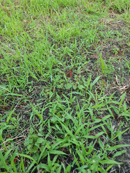 Similar image 21468088