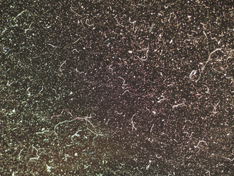 Similar image 21468103