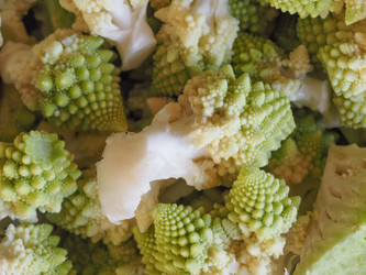 Similar image 21468119