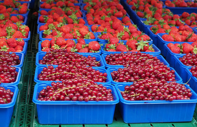 Similar image 21468136