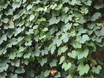 Similar image 21468254