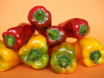 Similar image 21468155