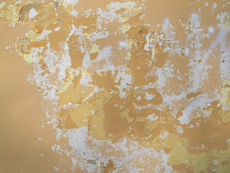 Similar image 21468271