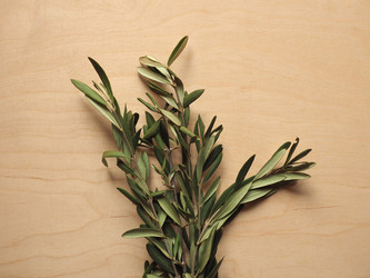 Similar image 21468424