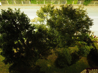 Similar image 21467836