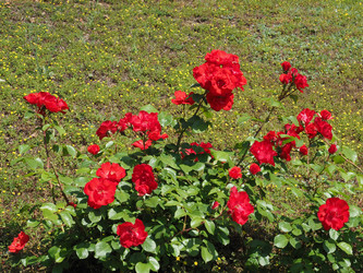 Similar image 21468181