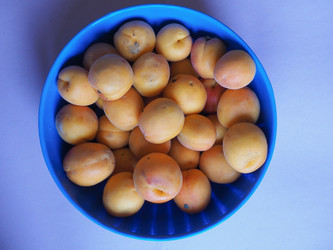 Similar image 21468195