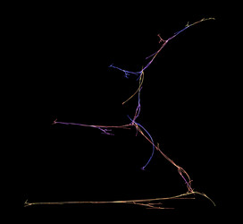 Similar image 21436945