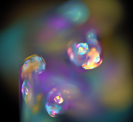 Similar image 21448509