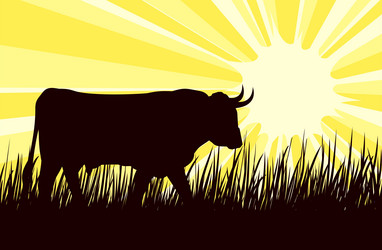 Similar image 21445120