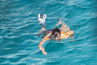 Similar image 21471671