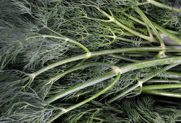 Similar image 21436950