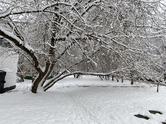 Similar image 21436955