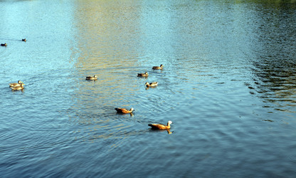 Similar image 21444323