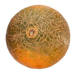 Similar image 21445121