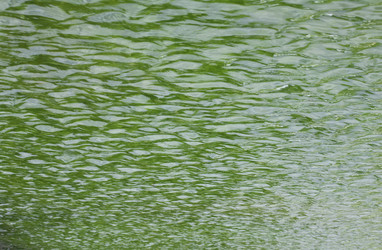 Similar image 21445882