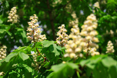 Similar image 21446124