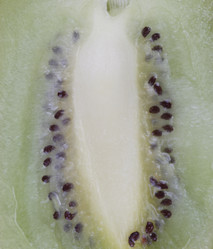 Similar image 21446125