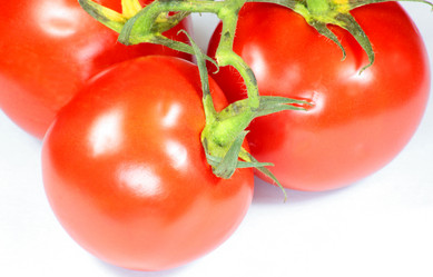 Similar image 21444344