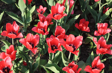 Similar image 21444847