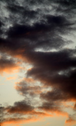 Similar image 21448515