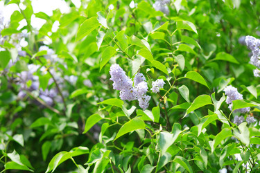 Similar image 21448820