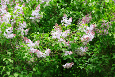 Similar image 21456594