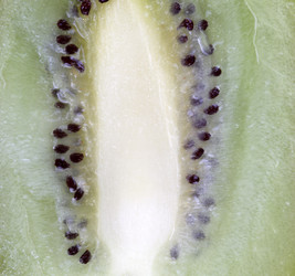 Similar image 21456598