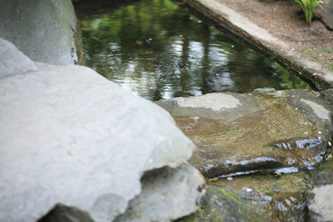 Similar image 21456600