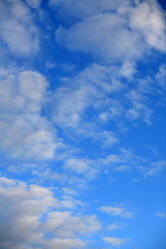 Similar image 21456606