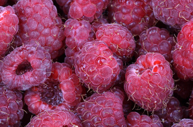 Similar image 21437228