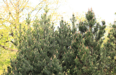 Similar image 21443642