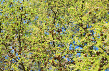 Similar image 21443645