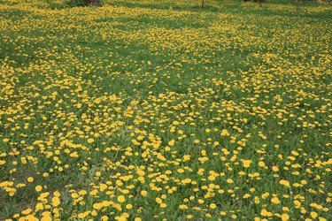 Similar image 21444346