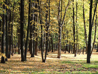 Similar image 21444364