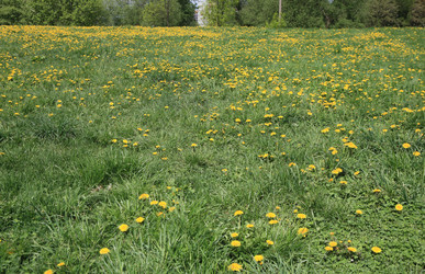 Similar image 21444856